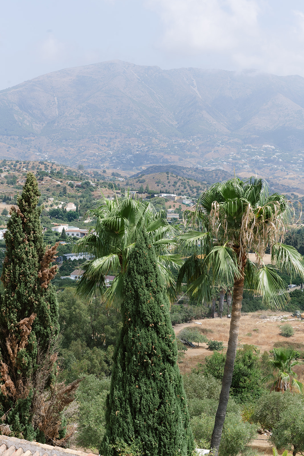 White Andalusian villa among palms with the mountains behind, near Mijas