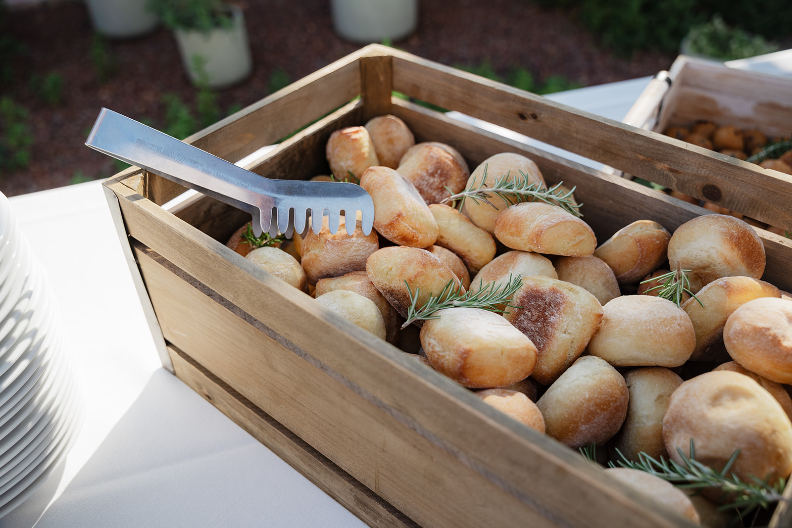 20250621-Gabi&David-NPWeddings-507.jpg