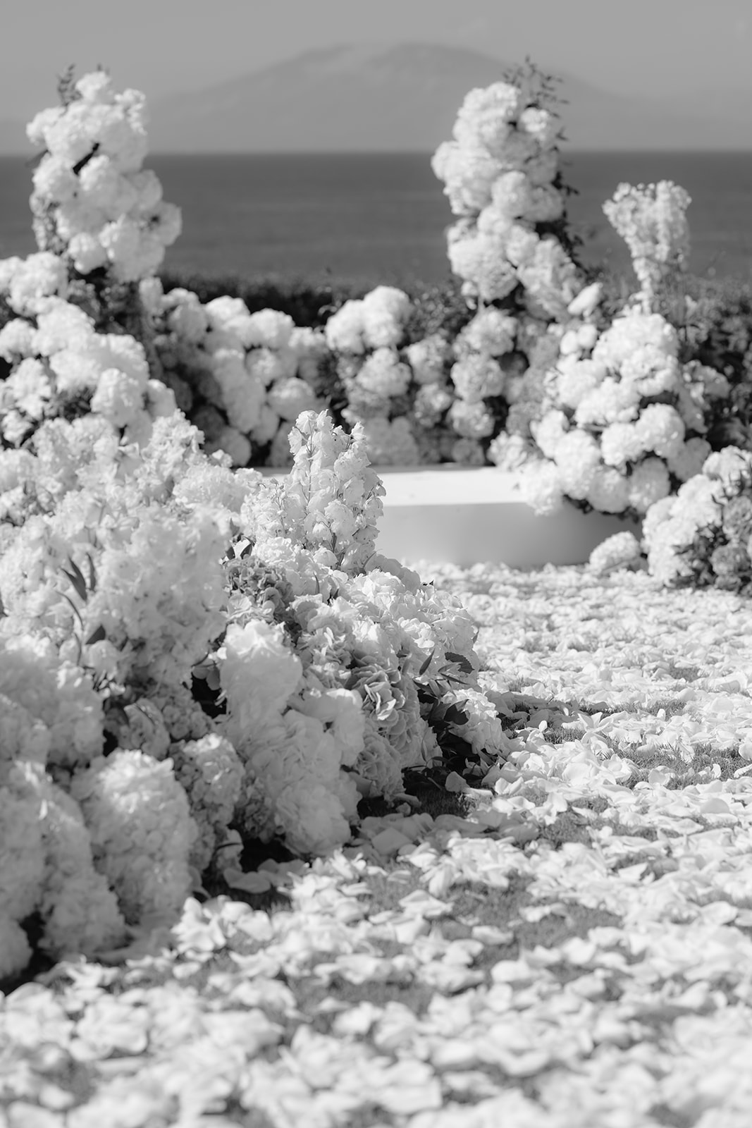 Wedding photographer Stockholm 6 MD_2025_second_day_0012_DSC7989.jpg