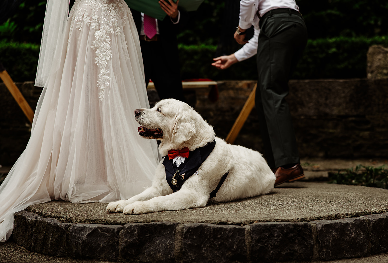 Jennie and James’s dog beside them during their outdoor Station House Hotel ceremony