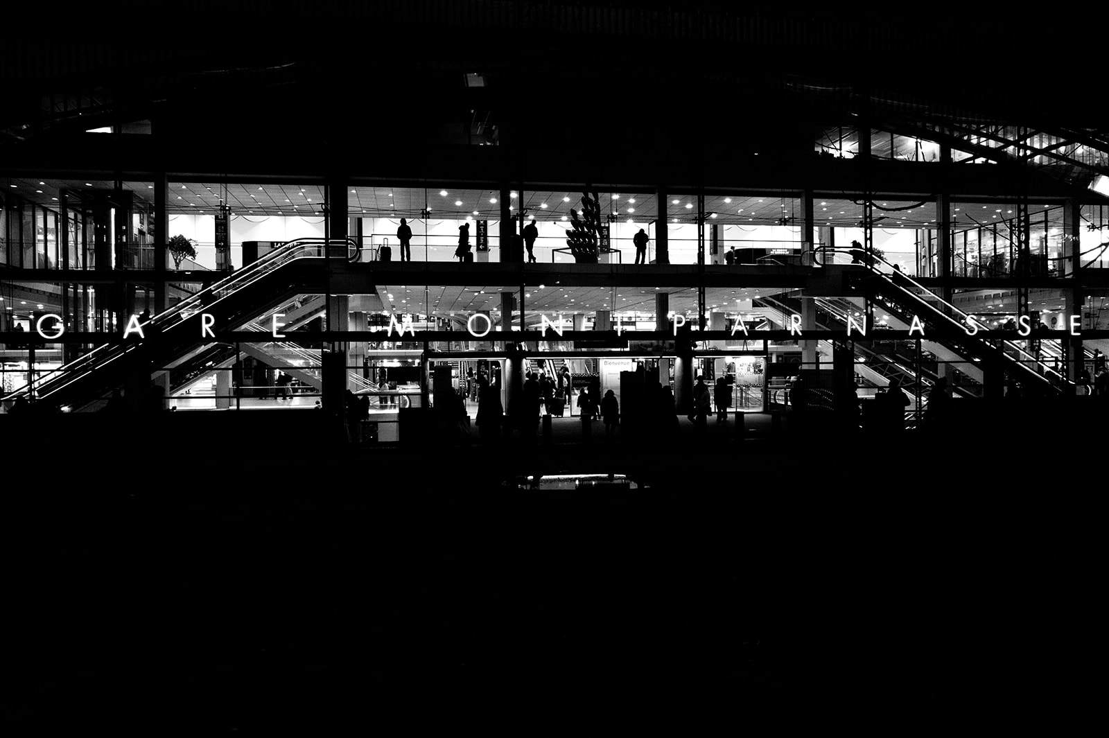 L1012695.jpg