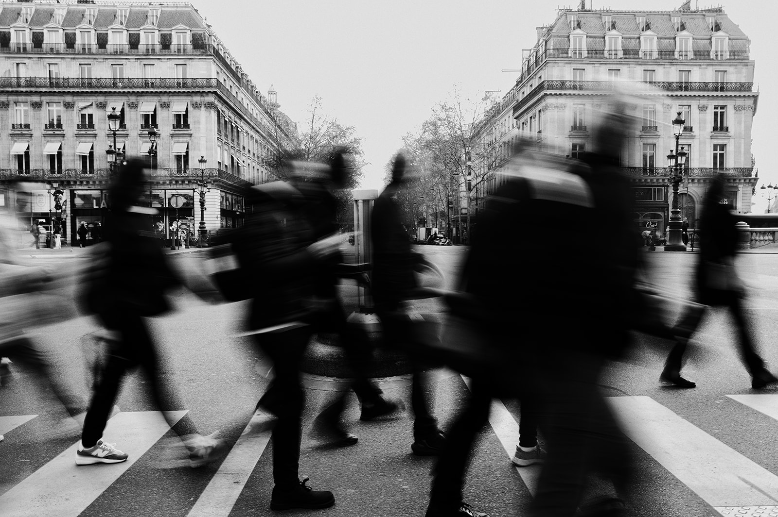 L1013061-Edit.jpg