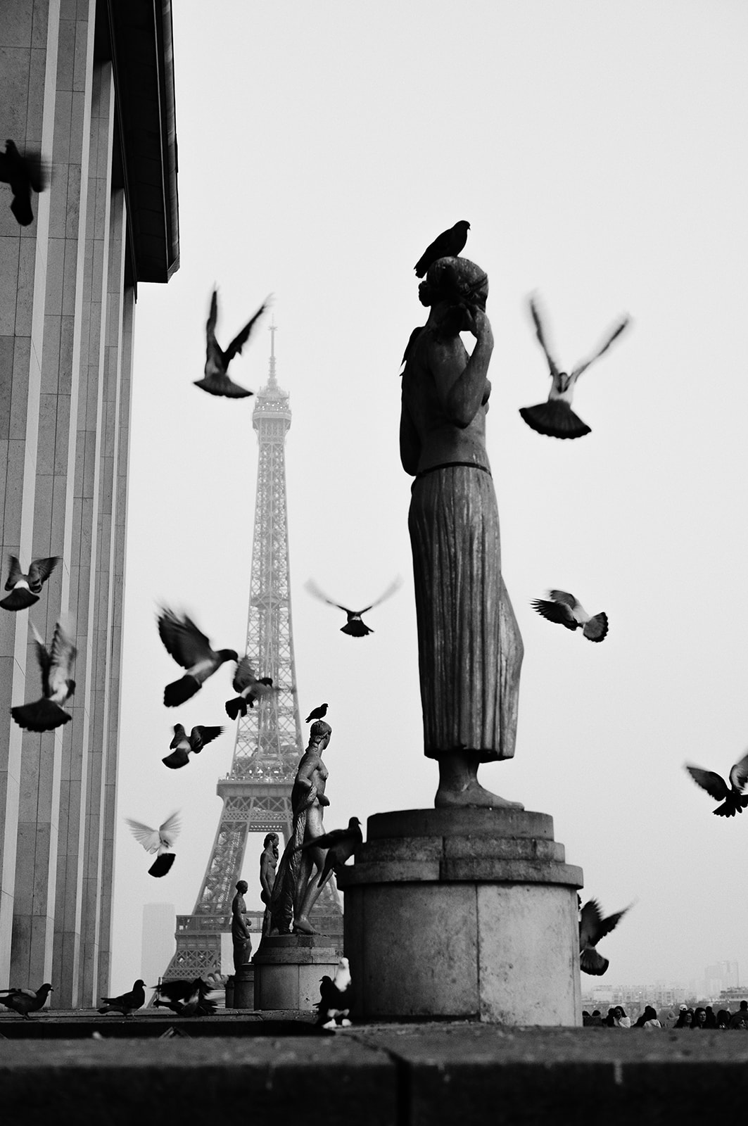 L1003827-Edit-2.jpg