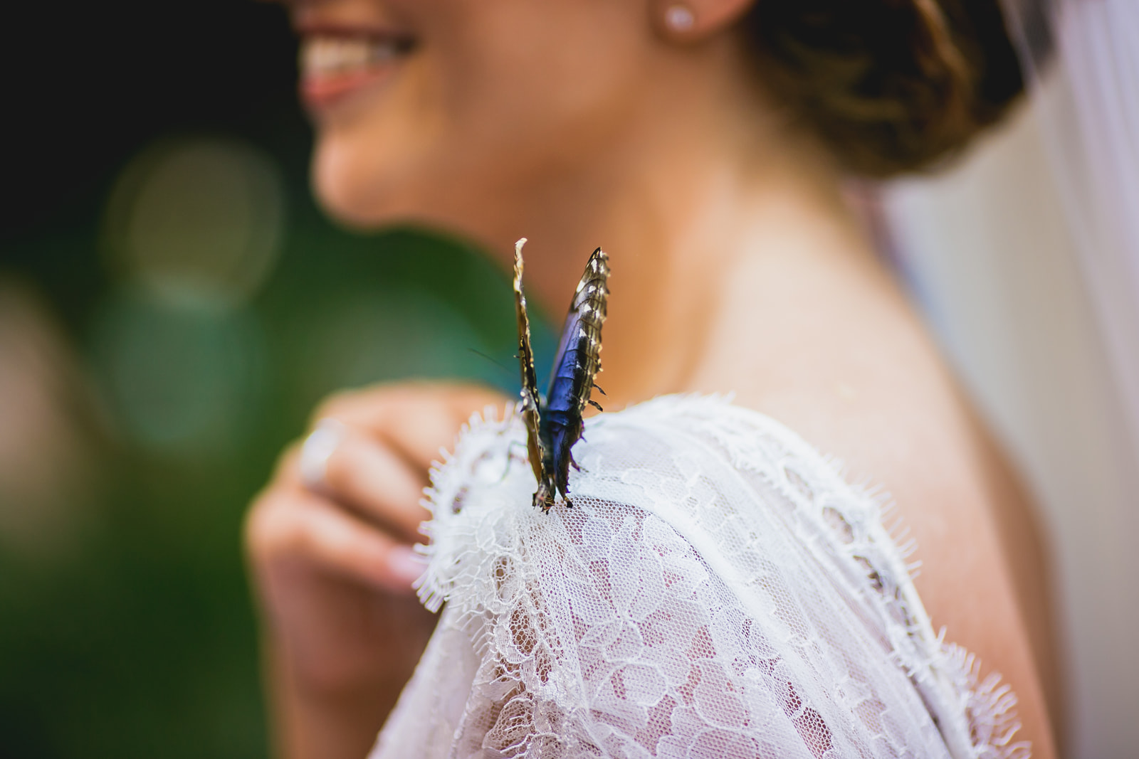 Dettaglio di una farfalla sulla sposa nel racconto fotografico di Ginnetti Studio